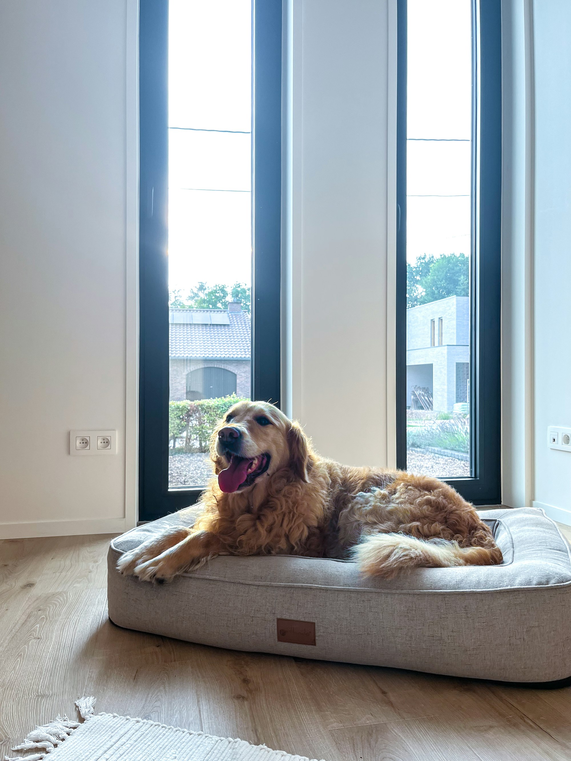 Interieur houtskeletbouw woning Skilpod #90 slaapkamer met kamerhole ramen