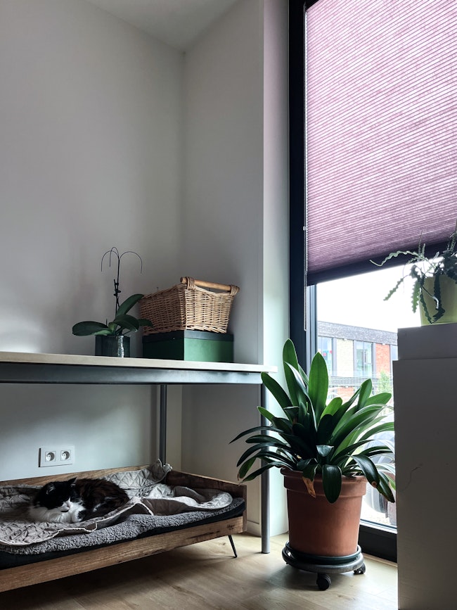 Slaapkamer in een #108 prefab woning